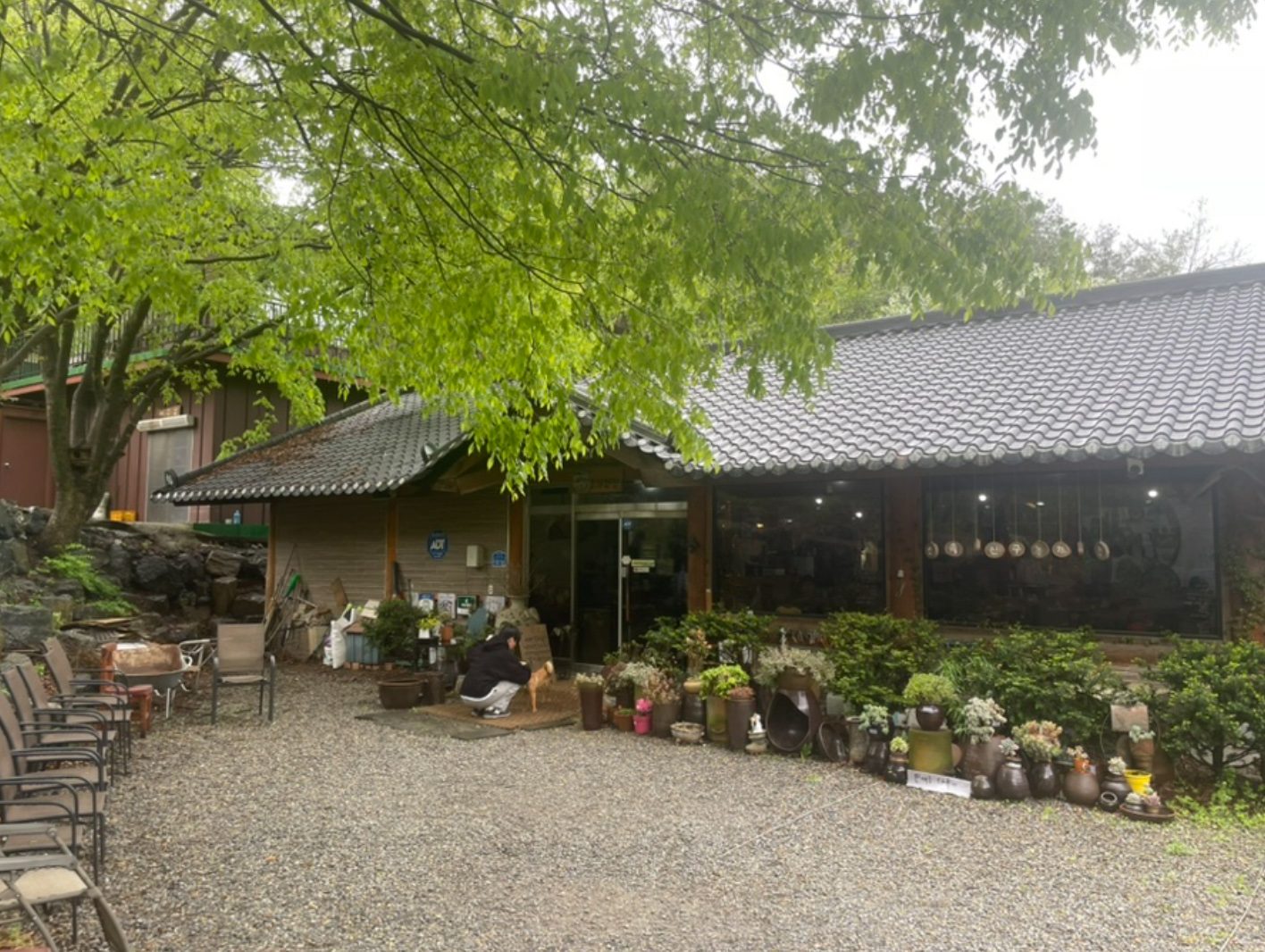 산속의친구