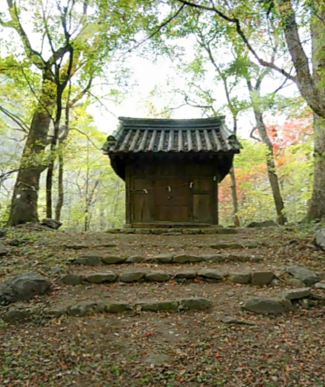 성황림 생태 숲